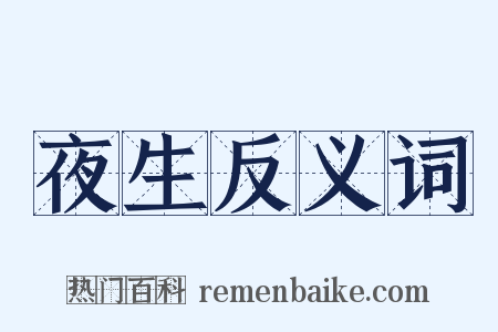 夜生反义词是什么意思的图片